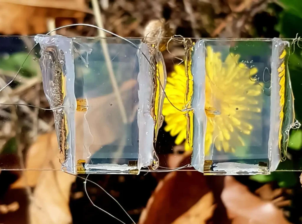 Korean scientists from Incheon National University have taken a small step toward this goal by creating what they call the first completely transparent solar cell